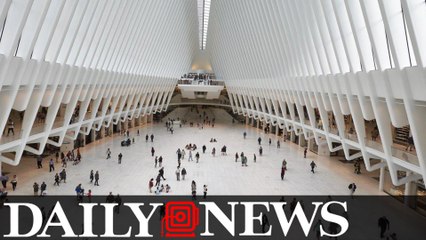 Woman Dies After Falling Off World Trade Center Oculus Escalator