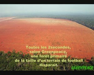 Déforestation en Amazonie
