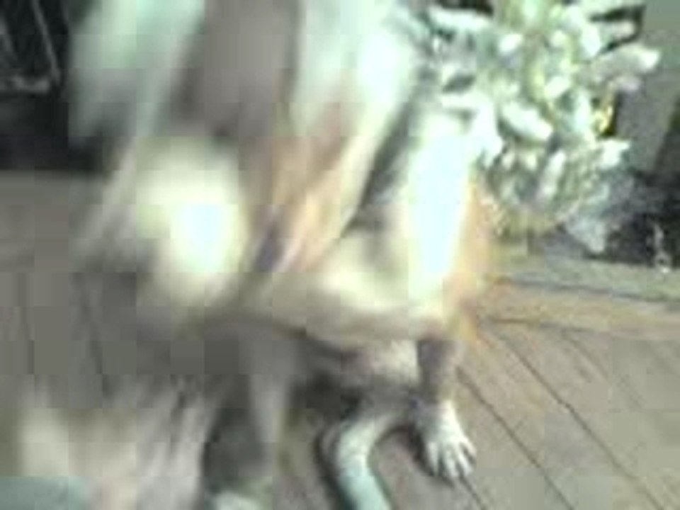 Nitro