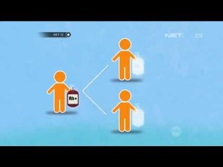 Mengenali Sistem Golongan Darah Rhesus Positif dan Negatif - NET12
