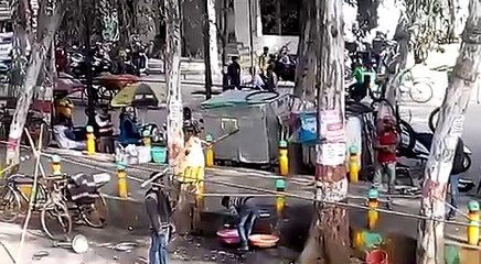 Roadside Circus Entertainment