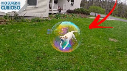 25 FOTOS TIRADAS NO MOMENTO EXATO