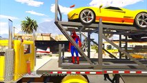 CAR CARRIER TRUCK with Spiderman Cartoon for Kids and Nursery Rhymes Songs for Children