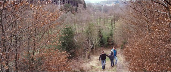 Paths - Official Trailer