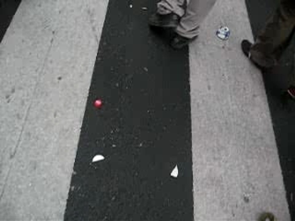 Techno Parade 2007 080