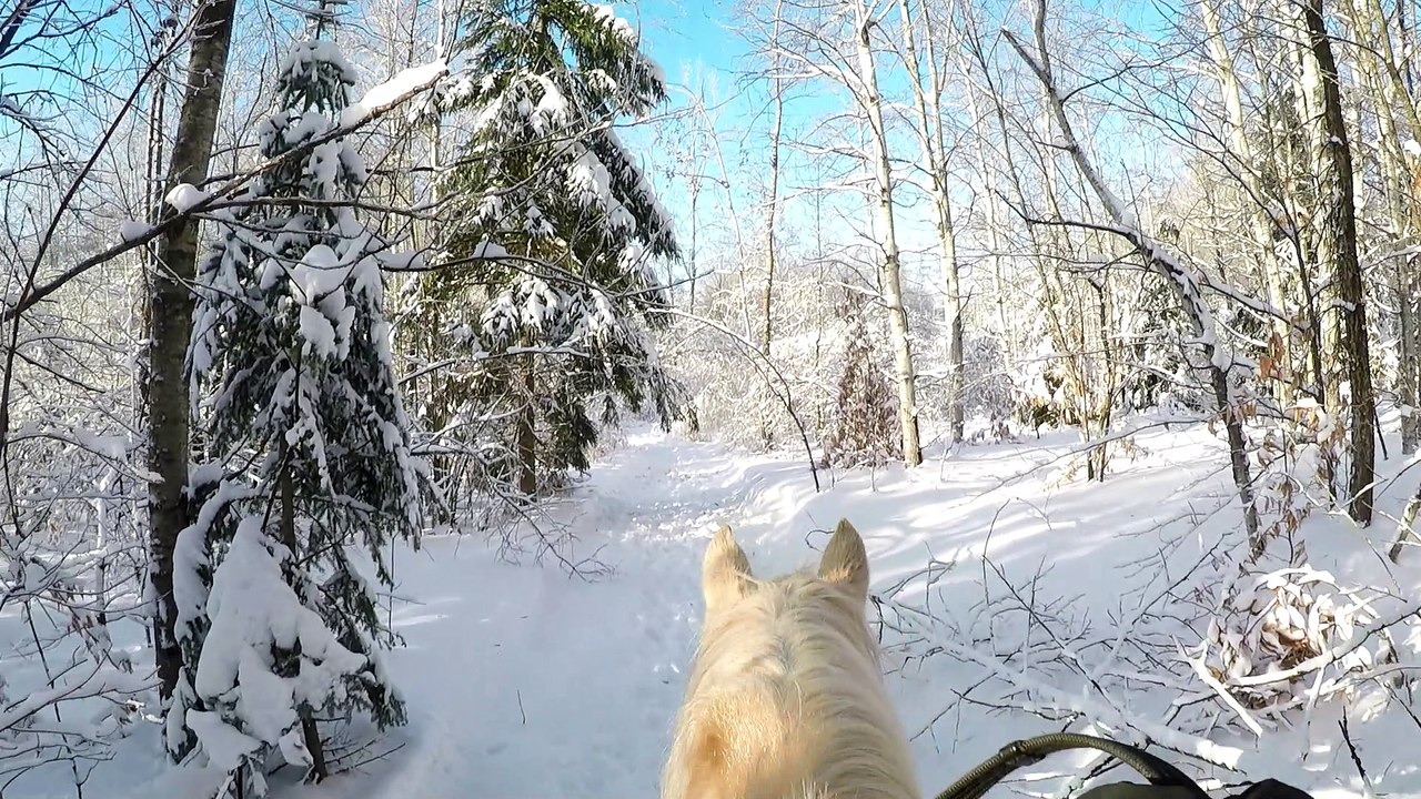 Trail Hiver Bonheur