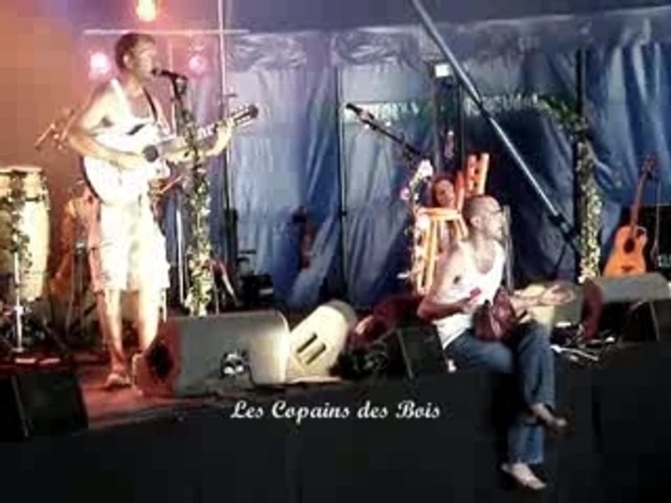 Les copains des bois - Dans ton petit sac