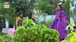 Mere Humnawa Ep - 22 - 11th February 2017 - ARY Digital Drama