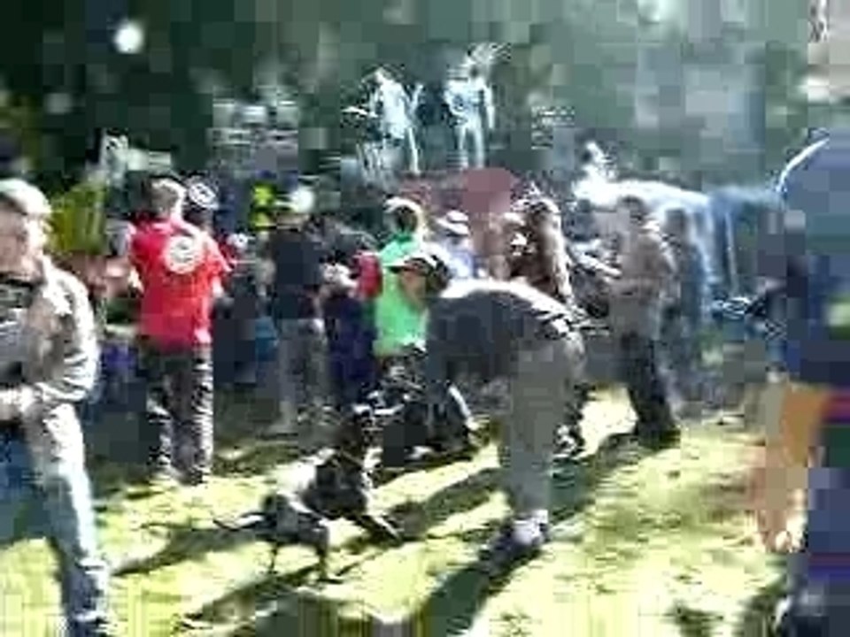 2007.09.15 mixtomatoz