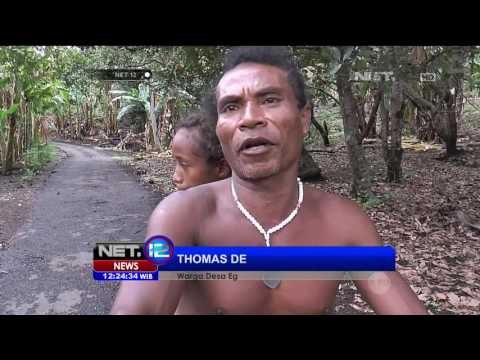 Status Gunung Egon Waspada Level 2 - NET12