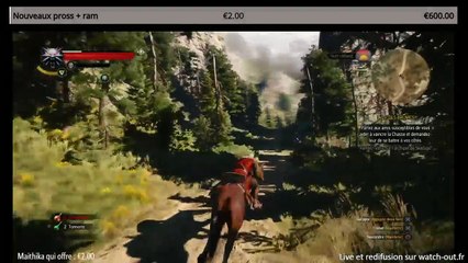 The witcher 3 Je cherche mes copains