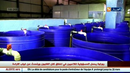 فلاحة  مركب مولاي لتربية المائيات..إنتاج السمك وسط الصحراء