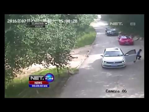 Naas! 2 Pengunjung Tewas Diserang Harimau, Beijing Cina - NET24
