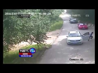 Naas! 2 Pengunjung Tewas Diserang Harimau, Beijing Cina - NET24