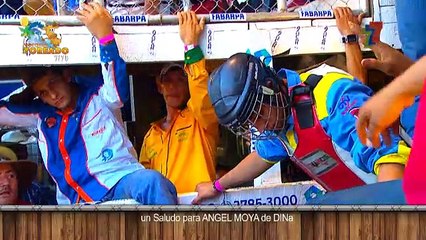 toros-orgullo-110217