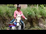 Menunggangi Kuda Menyusuri Persawahan di Pulau Dewata - NET12