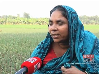 গঙ্গা-কপোতাক্ষ প্রকল্পে সেচ ব্যাহত, কমছে ধানের চাষ