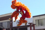 Eastwood Lunar New Year 2017 Part 11 of  12HD, Eye Dotting on a group of Lions,  and Lions on poles, speeches, Sydney 11 Feb 17