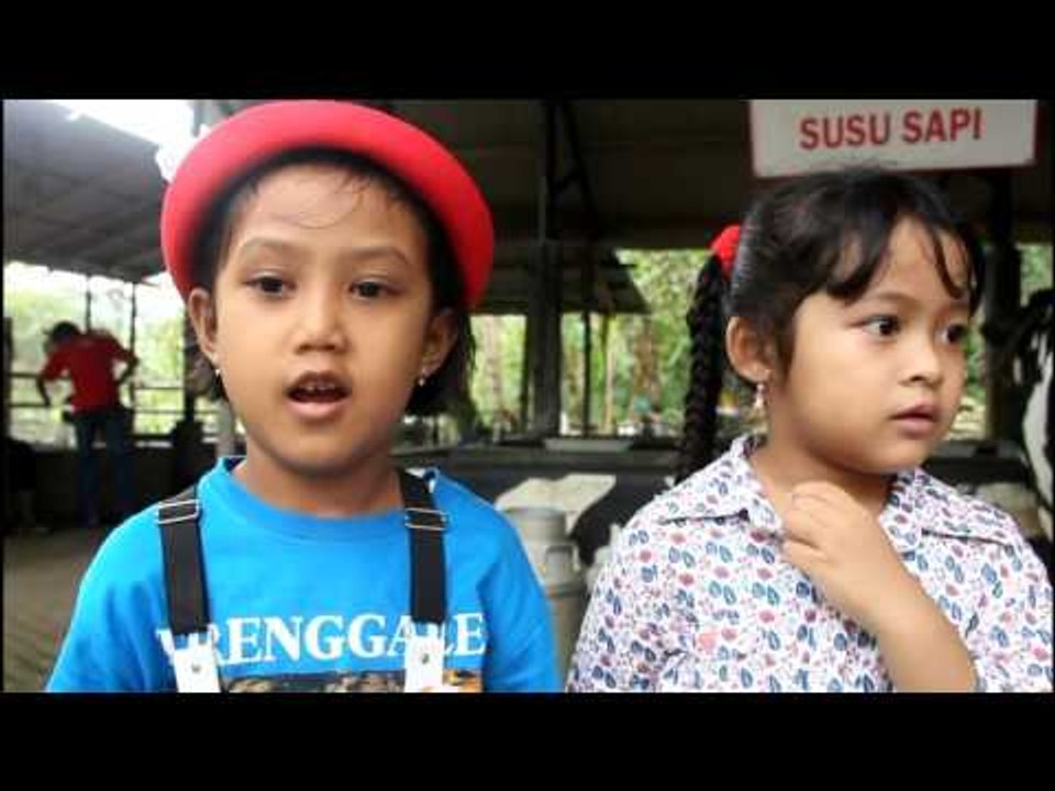 Anak-anak Belajar & Bermain di Wisata Edukasi Kampung Susu - NET12