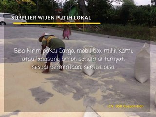 Jual Wijen Putih, Jual Biji Wijen Putih, Produsen Wijen Putih, Harga Wijen Putih 2017,  Wijen, 0821-1207-1087 (Tsel)