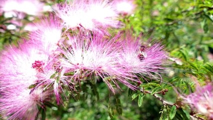 Weekend in small city in Brazil - Gonçalves  e Sao Bento do Sapucaí
