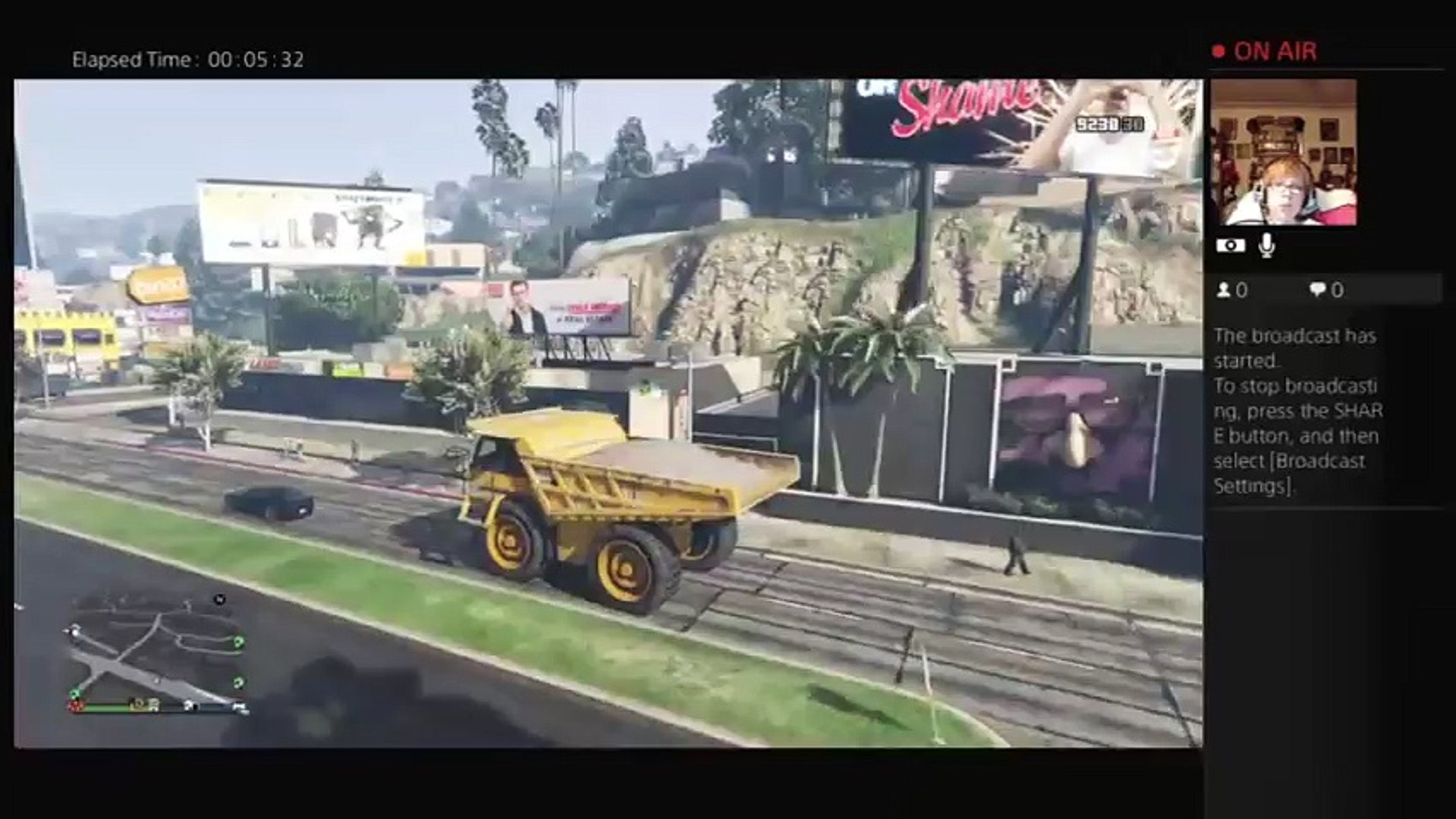 GTA 5 Fun (5)