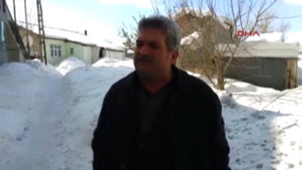 Ağrı Kurtlar Köpeği Kaçırdı