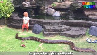Strange Things - Babies Playing With Snake!