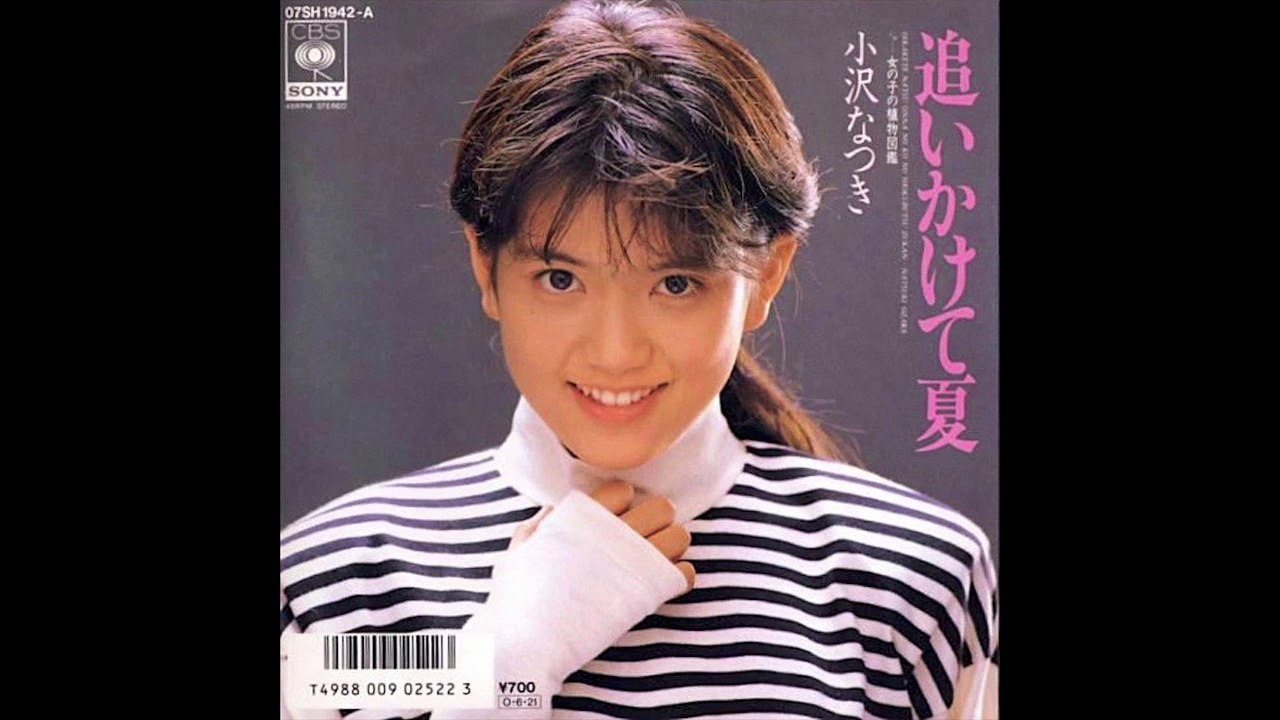 小沢なつき　追いかけて夏　NATSUKI OZAWA　Oikakete Natsu　7”（1987）