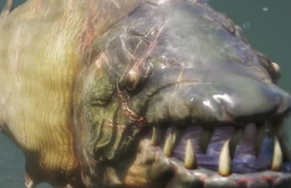 Unexpected Jump Scare Far Cry 4