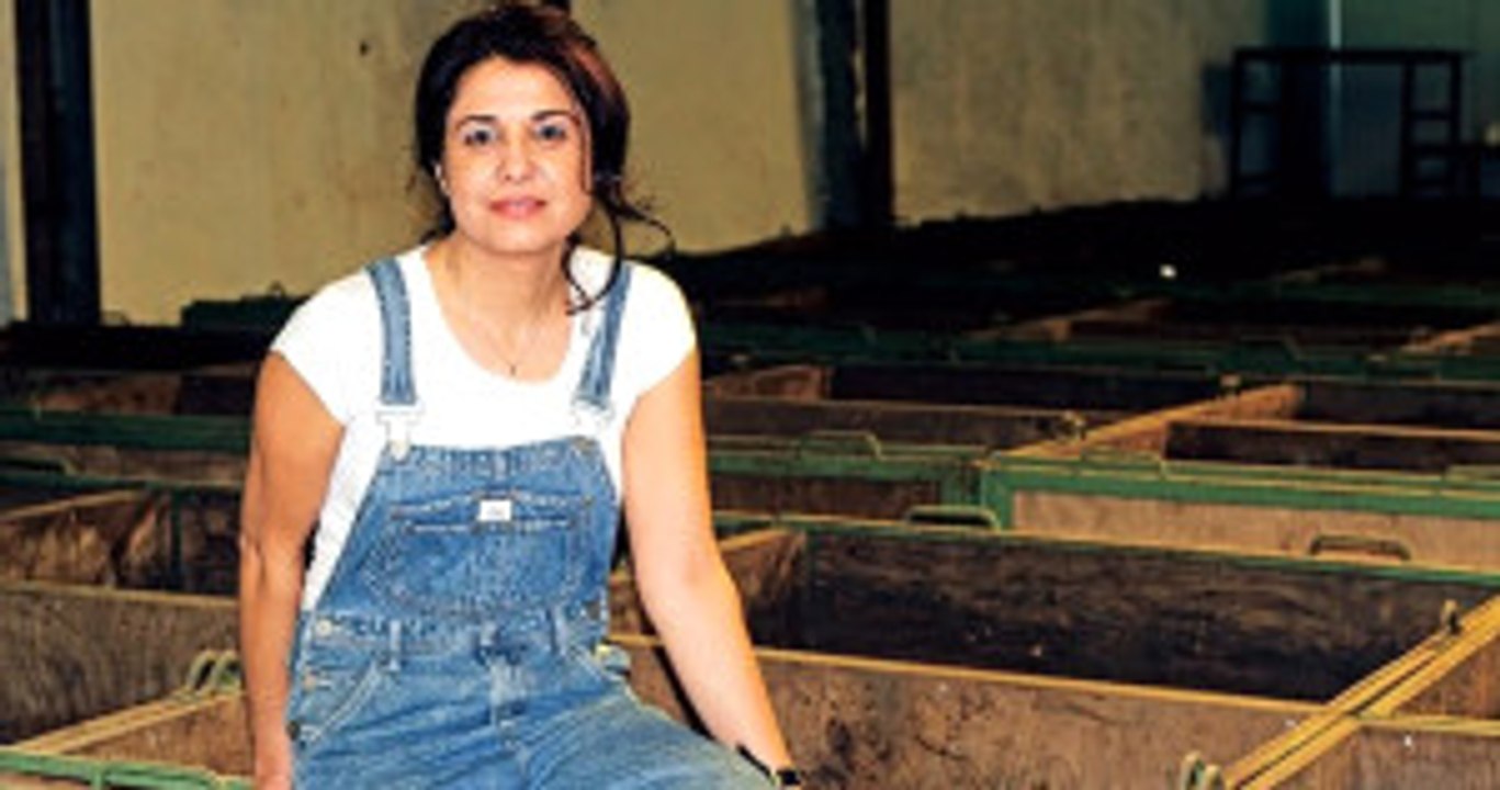 Kızı İçin Başladığı Organik Sebze Yetiştiriciliği Ekmek Kapısı Oldu