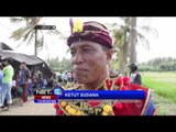 Rayakan Panen, Petani Balapan Kerbau di Jembrana, Bali - NET12