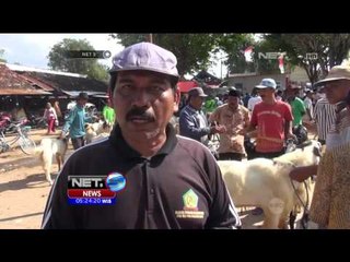 Jelang Idul Adha Pasar Hewan Ramai Pembeli - NET5