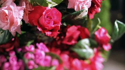 Kimi Shika (TR SUB) (Japan-Fans Çeviri Grubu)