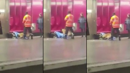 Un sans-abri est chassé par un maître chien de la RATP