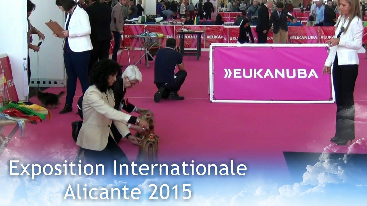 Cacib Alicante 2015