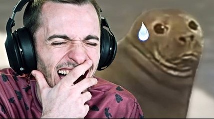 SQUEEZIE-LA VIDÉO LA PLUS DRÔLE D'INTERNET