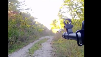 Excellente chasse au sanglier ! Les meilleurs tirs