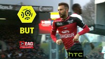 But Nicolas BENEZET (34ème) / EA Guingamp - Olympique Lyonnais - (2-1) - (EAG-OL) / 2016-17