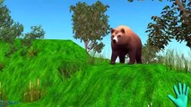 Bear Finger Family Collection | Cartoon Animals | Animals Cartoon Finger Family Rhymes for Children