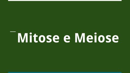 Mitose e Meiose