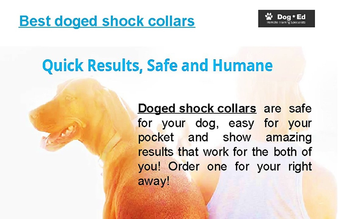 Best doged shock collars