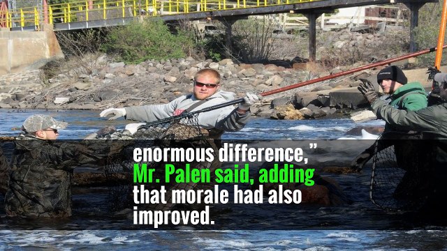 Tim Palen, Lionsgate’s marketing chief, said that a staff reorganization since last summer — Mr. Palen now reports to Mr. Feltheimer