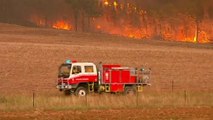 Hitze und trockener Wind: Schwere Waldbrände im Südosten Australiens