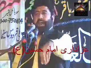 جو لوگ کہتے ہیں؟ کہ حضرت علی ؑ کی بیٹی کی شادی کسی غیر سید سے ہوئی؟ اس کو جواب