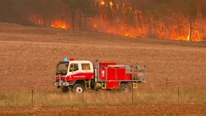 Australia: Wildfires rage in New South Wales heatwave