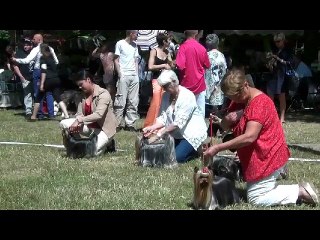 Isle Adam 2015