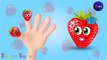 Finger Family - Strawberry Family Song - Nursery Rhymes for preschool kids by Sager Sons
