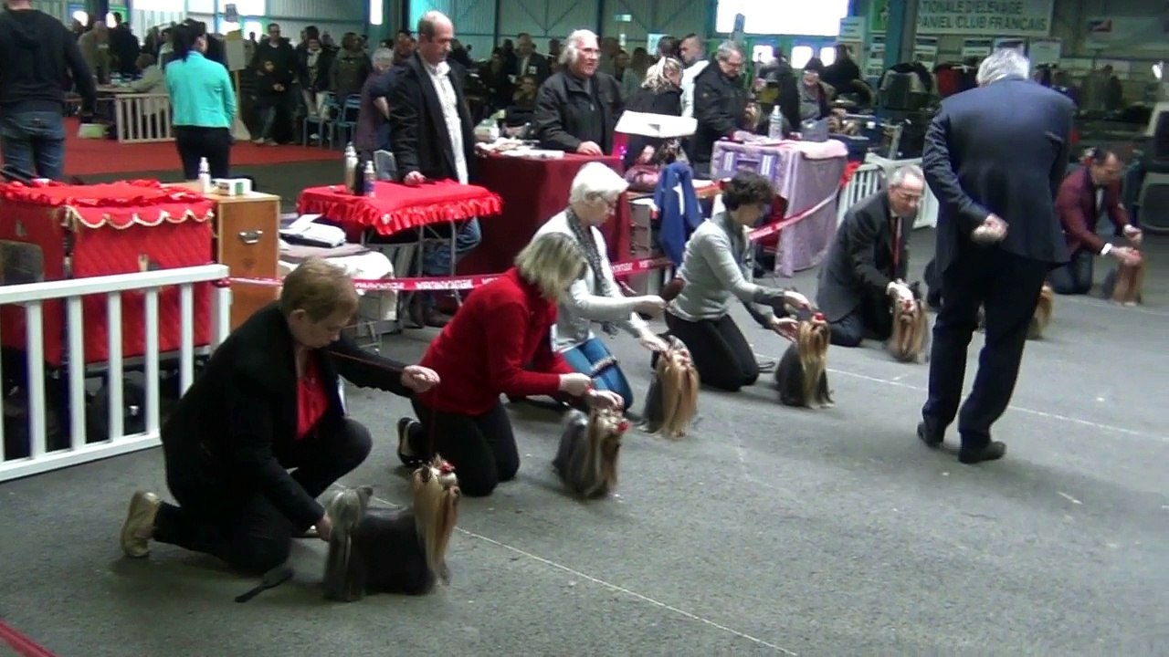 Spéciale de race Montluçon 2016