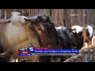 Perawatan Khusus Hewan Kurban di Ponorogo - NEt5